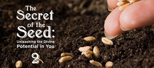 The Secret of the Seed: Unleashing the Divine Potential in You - 2