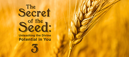 The Secret of the Seed: Unleashing the Divine Potential in You - 3