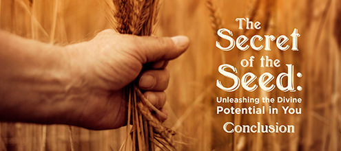 The Secret of the Seed: Unleashing the Divine Potential in You - 4