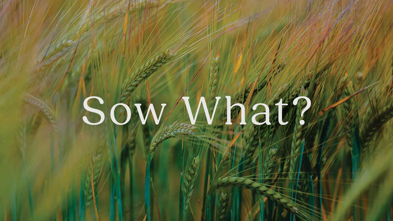 Sow What?