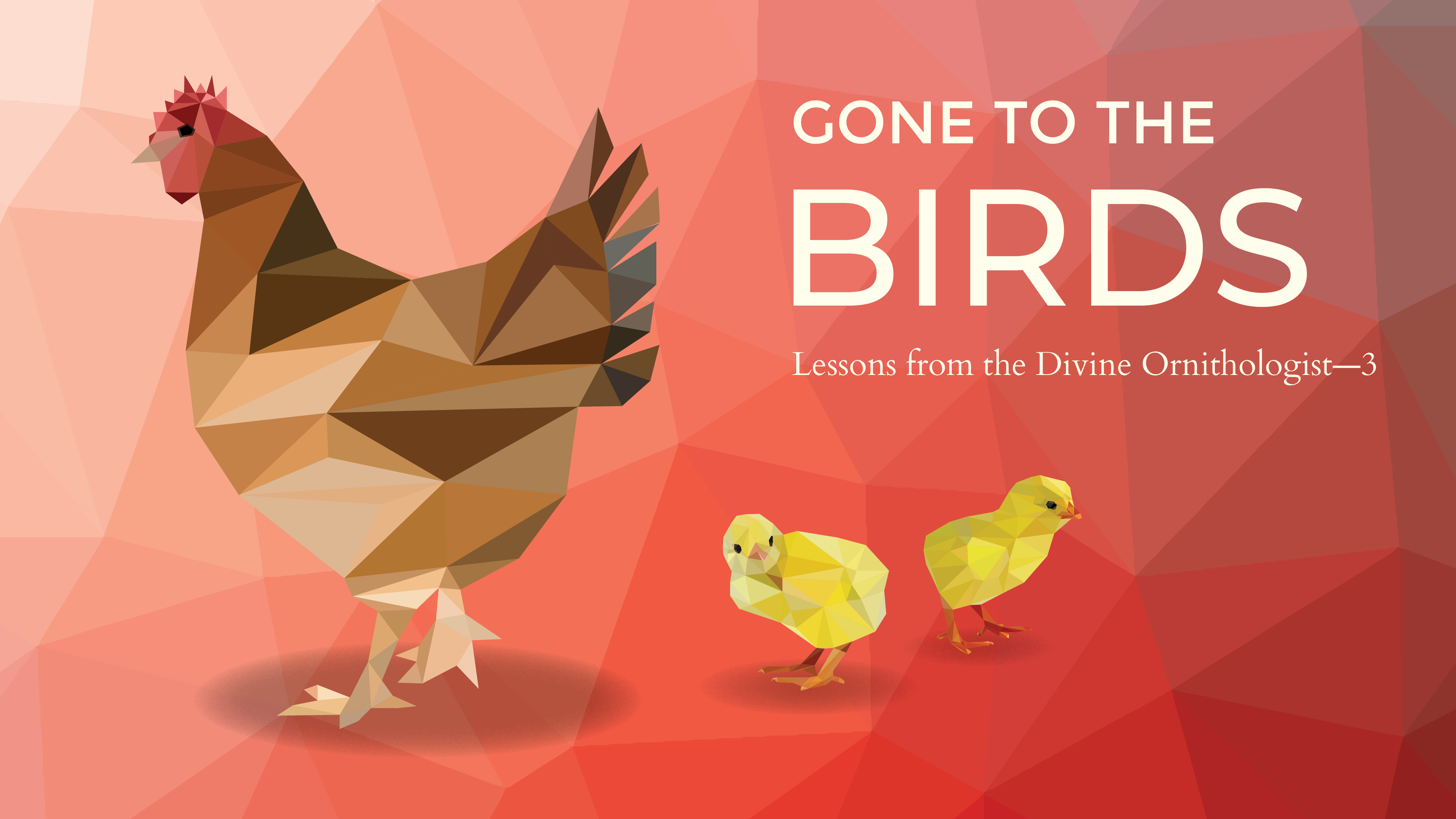 Lessons from the Divine Ornithologist - Part 3