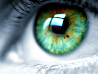eye.jpg